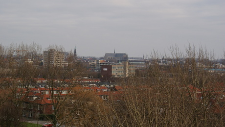 Leiden