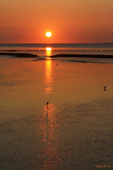 Zonsondergang Holwerd