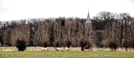 Doorkijk Diepenheim in de Hof van Twente