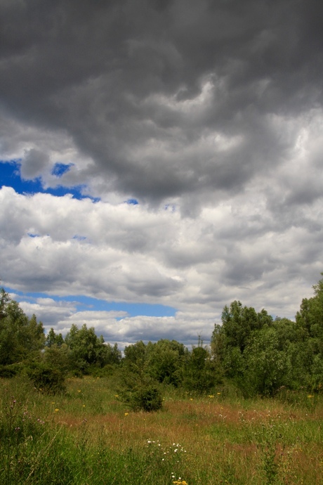 wolkenlucht