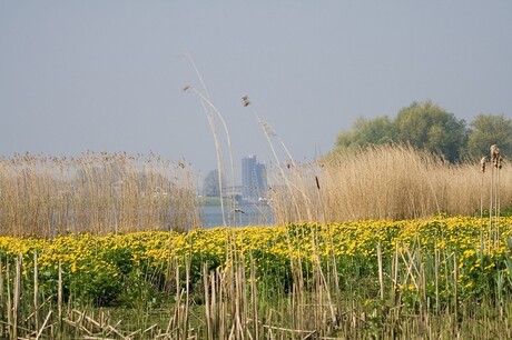 Stukje bij de Lek