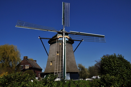 Molen in Den Haag