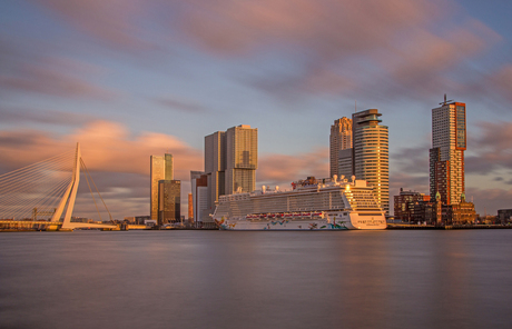 Rotterdam in the Golden Hour