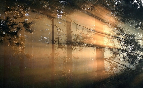 Let there be light ....