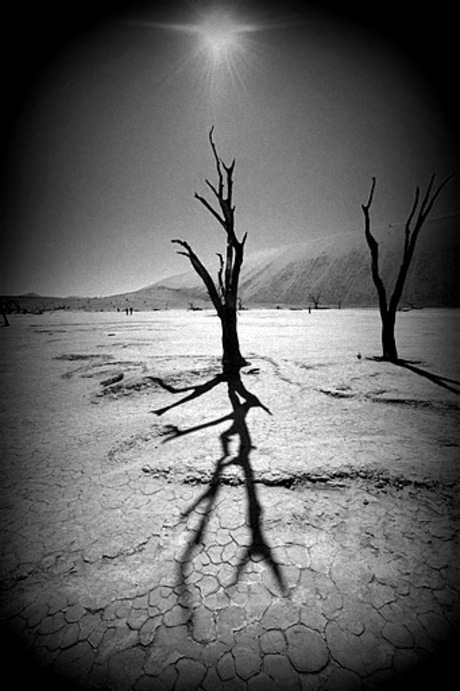 Deadvlei