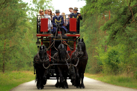 Een wagen vol verhalen