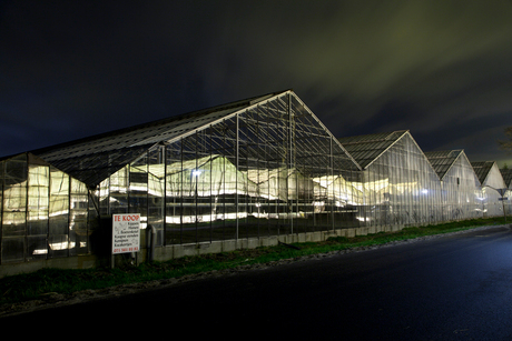 Glasshouse for sale