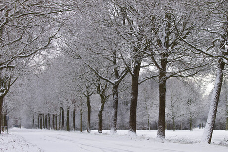 Sneeuw in Friesland