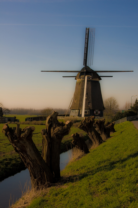 molen