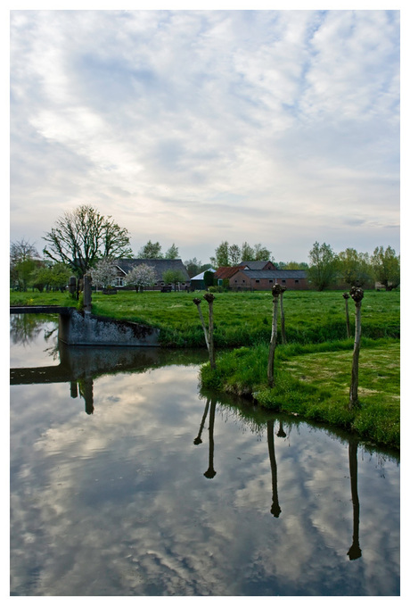 Polder