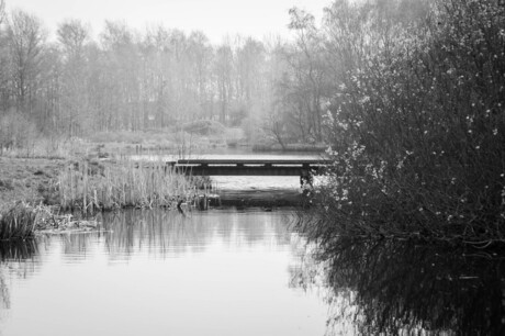 rashofterpark sneek