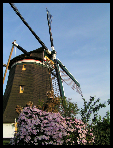 Molen