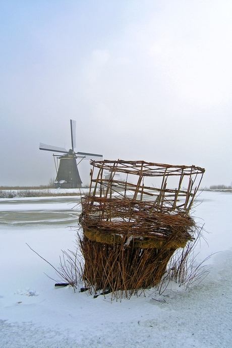 Winter in Kinderdijk