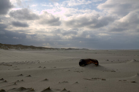 Strand Terschelling