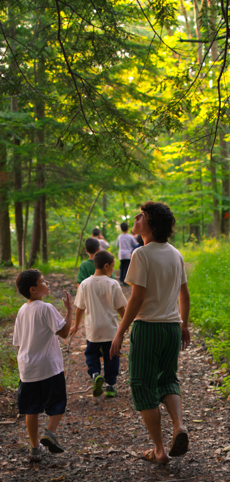 Nature walk