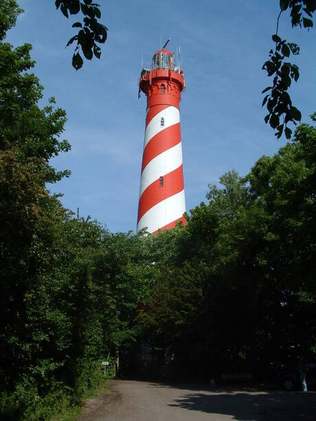 Als een Paal boven het Bos