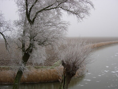 Winter Zuid-Holland