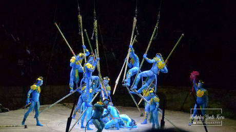 Cirque du Soleil Toruk