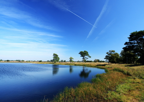 meertje in drenthe.JPG