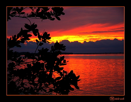 Sanibel sunset