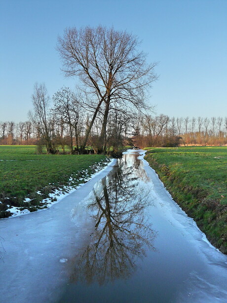 Omgeving Breukelen.