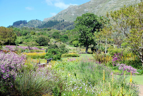 Botanische tuin Kaapstad