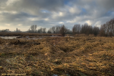 IJssel Uiterwaarden 2