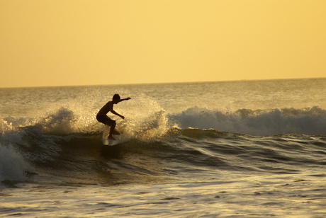 Surf Dude..