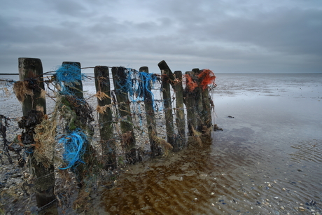 landschap 't Wad (nylon visdraad)