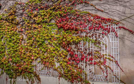 Herfst in Autun [Frankrijk].jpg