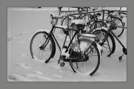 Limburgse fiets