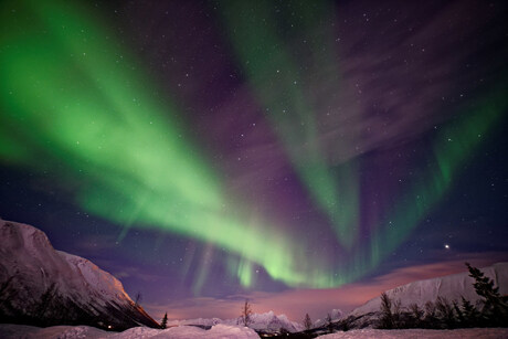 Tromsø northern light