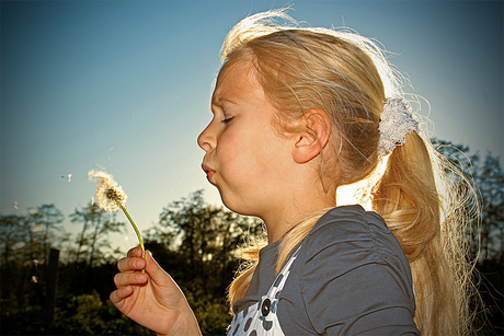 Seeds in the wind