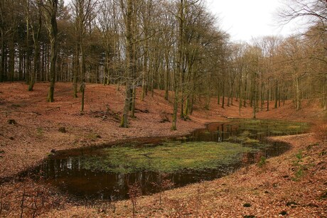 Het Solsche Gat, bij Drie