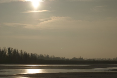 Oostvaardersplassen