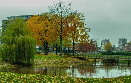 Stadskanaal in de herfst tinten verkleind voor zoom.jpg