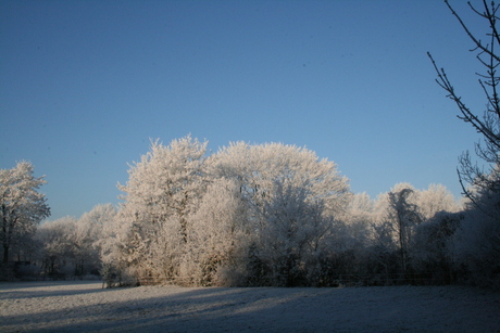 Noordbarge