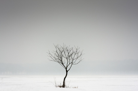 Lonely winter