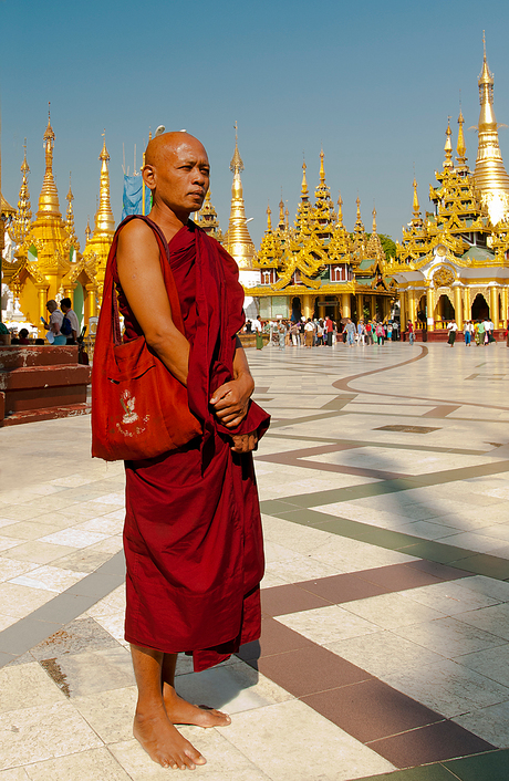 monnik bij de Shwedagon Pagode