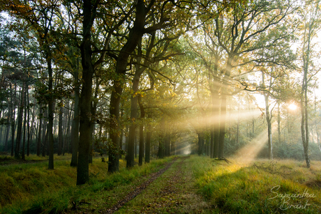 A Walk On Sunshine