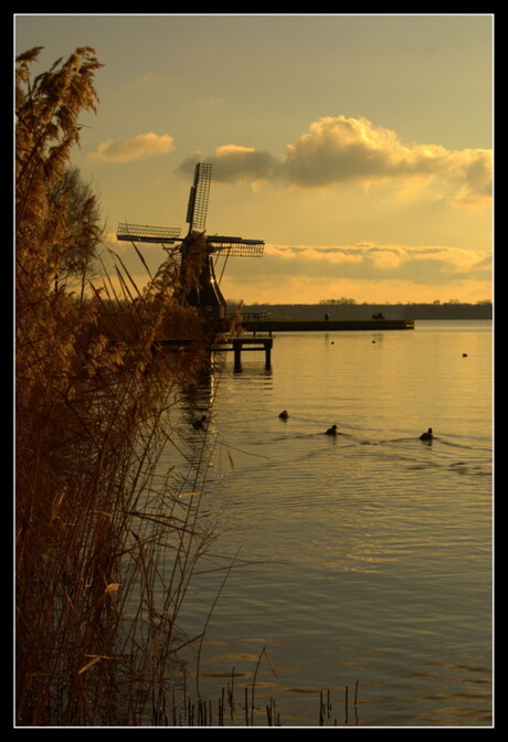 Hollands glorie...5