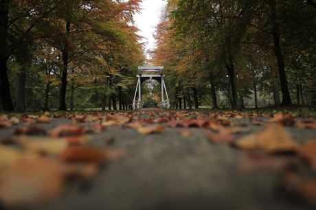 Herfst op landgoed