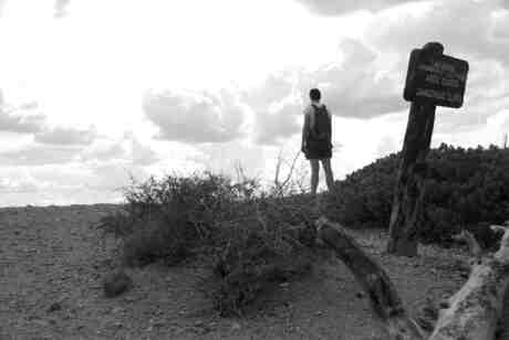 Thinking about life...