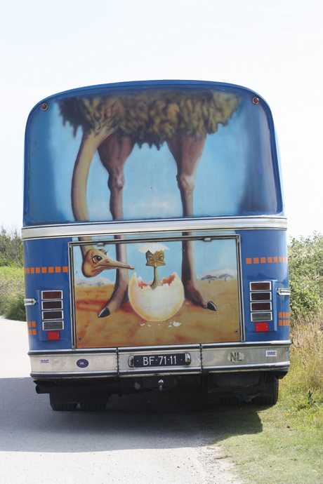 Struisvogel bus