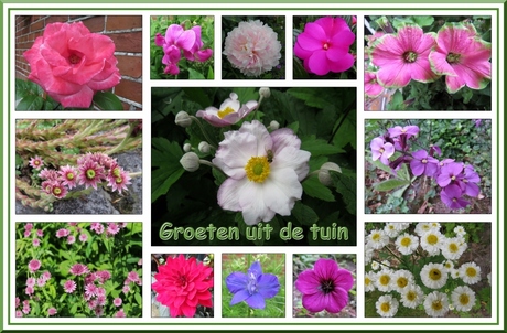 Groeten uit de tuin