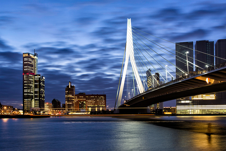 Rotterdam by night.jpg