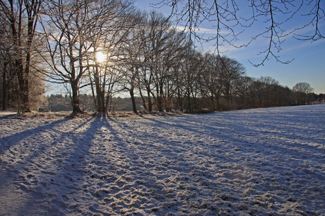 Winter in Montferland