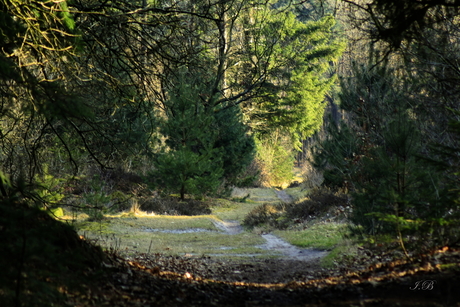 Mooie moeder natuur....