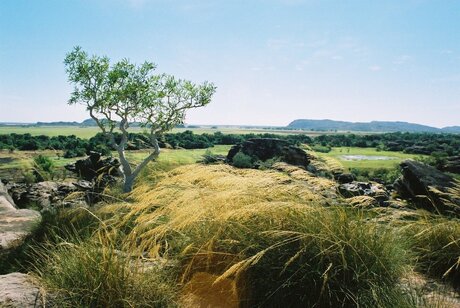 een mooi landschap