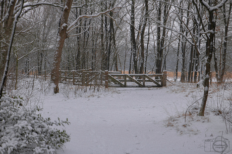 sneeuw in nederland